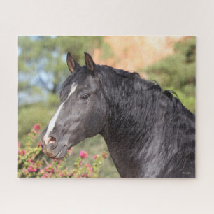Bob Langrish Hoofd van de Black Andalucian Stall Legpuzzel