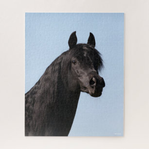 Bob Langrish Hoofd van de Black Arab Stallion Legpuzzel