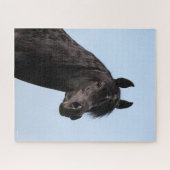 Bob Langrish | Hoofd van de Black Arab Stallion Legpuzzel (Horizontaal)