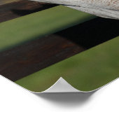 Bob Langrish | Hoofdschot van Arabische Mare en Fo Poster (Hoek)