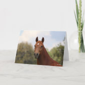 Bob Langrish | Hoofdschot van de kastanje Oldenbur Kaart (Voorkant)