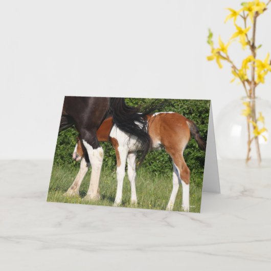 Bob Langrish | Irish Sport Horse Foal Hiding Kaart (Gele Bloem)