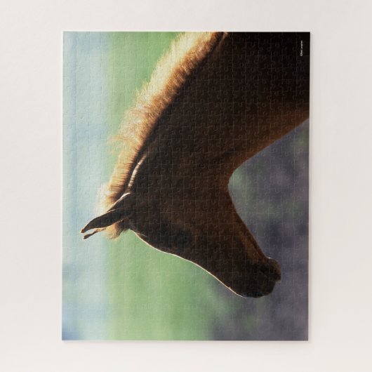 Bob Langrish | Kaas Arab Foal met achtergrondverli Legpuzzel (Verticaal)