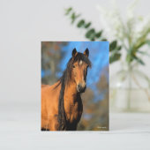 Bob Langrish | Keukenkop Pony Briefkaart (Staand voorkant)