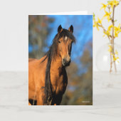 Bob Langrish | Keukenkop Pony Kaart (Gele Bloem)