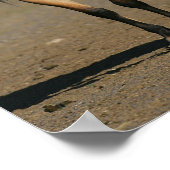 Bob Langrish Kiger Mustang Mare and Foal Standing Poster (Hoek)