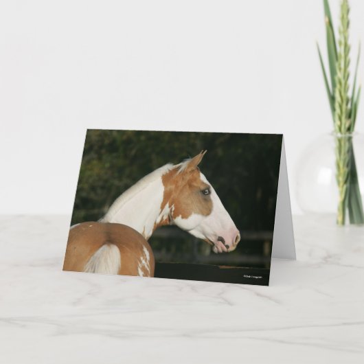 Bob Langrish | Koppen van verf-paarden Kaart (Voorkant)