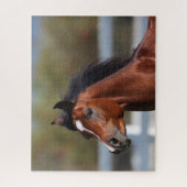 Bob Langrish | Koptekst Arabische baai Legpuzzel (Verticaal)