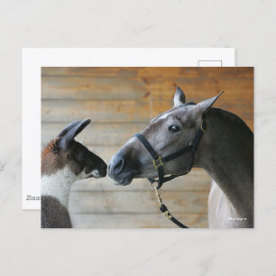 Bob Langrish Llama en Andalucian Meeting Headshot Briefkaart