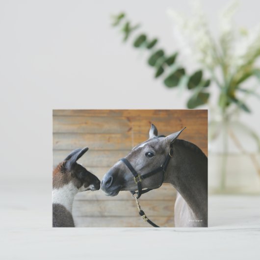 Bob Langrish Llama en Andalucian Meeting Headshot Briefkaart (Staand voorkant)