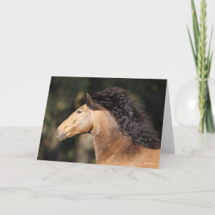 Bob Langrish Lusitano Headshot Mane stromend Kaart