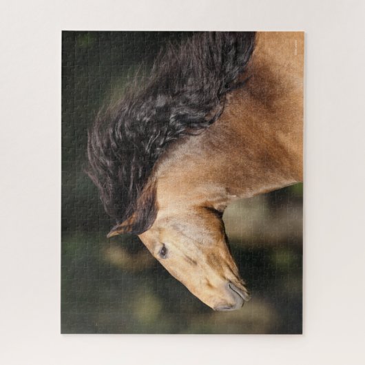 Bob Langrish | Lusitano Headshot Mane stromend Legpuzzel (Verticaal)