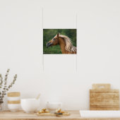 Bob Langrish | Mane Flows | Arab Stallion headshot Poster (Keuken)