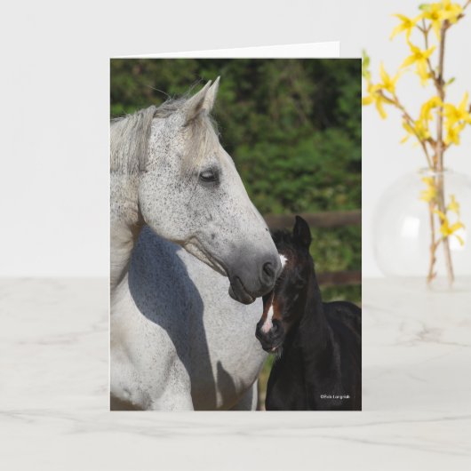 Bob Langrish | Mare en schuimbloem Kaart (Gele Bloem)