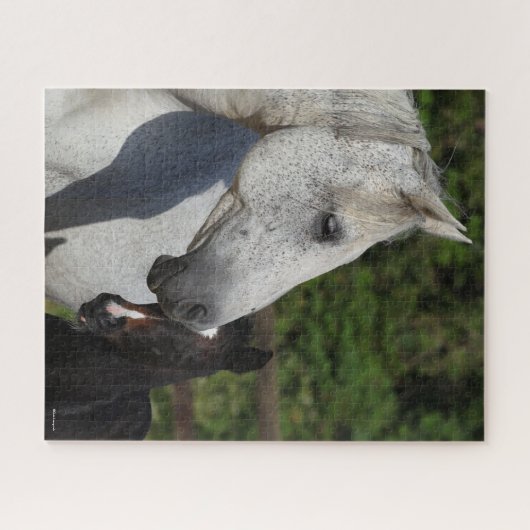 Bob Langrish | Mare en schuimbloem Legpuzzel (Horizontaal)