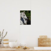 Bob Langrish | Mare en schuimbloem Poster (Keuken)