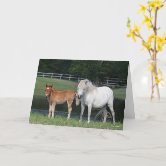 Bob Langrish Miniature Pony Mare and Foal Standing Kaart (Gele Bloem)