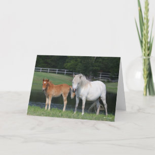 Bob Langrish Miniature Pony Mare and Foal Standing Kaart