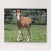 Bob Langrish | Miniatuurwalsen van Pony Legpuzzel (Horizontaal)