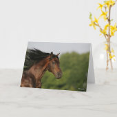 Bob Langrish | Morgan Horse Headshot Flows Mane Kaart (Gele Bloem)