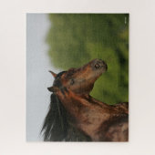 Bob Langrish | Morgan Horse Headshot Flows Mane Legpuzzel (Verticaal)
