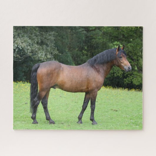 Bob Langrish | Nieuwe Pony Legpuzzel (Horizontaal)