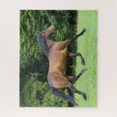 Bob Langrish | Nieuwe Pony Stallion Legpuzzel (Verticaal)