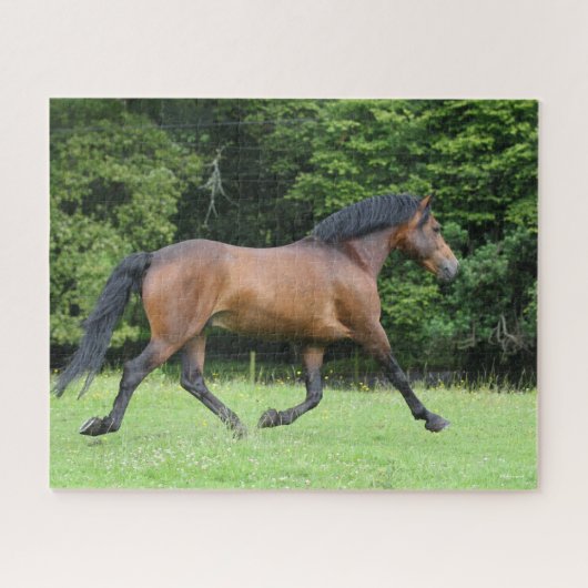 Bob Langrish | Nieuwe Pony Stallion Legpuzzel (Horizontaal)