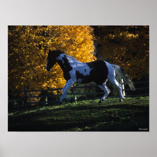 Bob Langrish | Paarden die in de herfst van de ver Poster (Voorkant)
