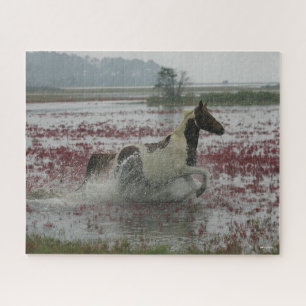 Bob Langrish   Paarden van de Chinese coteague die Legpuzzel