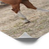 Bob Langrish | Paarden van oververf lopen Poster (Hoek)