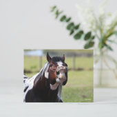 Bob Langrish | Paint Horse Stallion Flehmen Briefkaart (Staand voorkant)