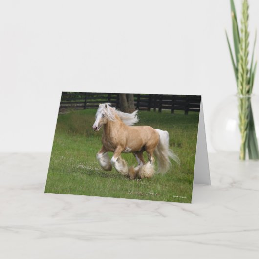 Bob Langrish | Palomino Gypsy Vanner Paard in bedr Kaart (Voorkant)