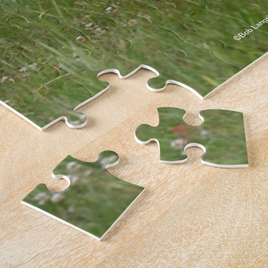 Bob Langrish | Palomino Gypsy Vanner Paard in bedr Legpuzzel (Zijkant)