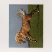 Bob Langrish | Palomino Lusitano Stallion Leaping Legpuzzel (Verticaal)