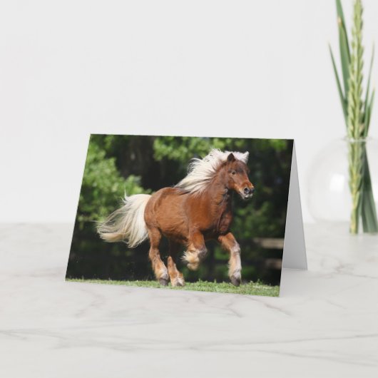 Bob Langrish | Palomino Miniatuur Pony Kaart (Voorkant)