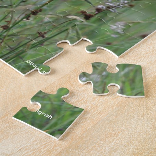 Bob Langrish | Palomino Shetland in gras Legpuzzel (Zijkant)