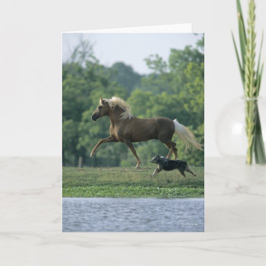 Bob Langrish | Palomino Tennessee Walker en Dog Kaart (Voorkant)