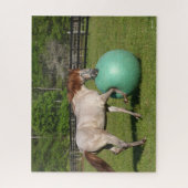 Bob Langrish | Paso Fino-paarden met een kogel Legpuzzel (Verticaal)