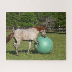 Bob Langrish Paso Fino-paarden met een kogel Legpuzzel