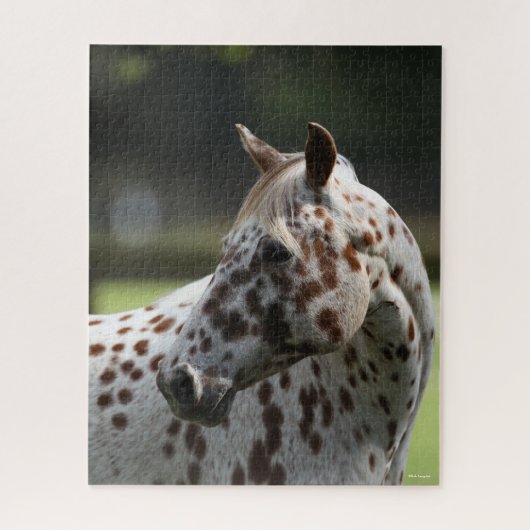 Bob Langrish | Permanente titel Appaloosa Legpuzzel (Verticaal)