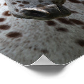 Bob Langrish | Permanente titel Appaloosa Poster (Hoek)