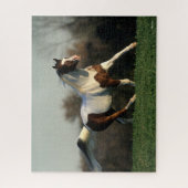 Bob Langrish | Pinto Arab Mane and Tail stromend Legpuzzel (Verticaal)