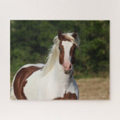 Bob Langrish | Pinto Haflinger Headshot Legpuzzel (Horizontaal)