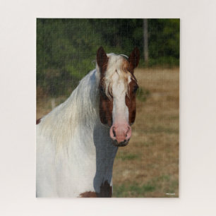 Bob Langrish   Pinto Haflinger Horse Headshot Legpuzzel