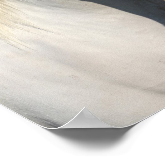 Bob Langrish | Pinto Haflinger Horse Headshot Poster (Hoek)