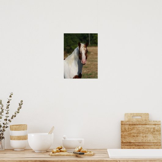 Bob Langrish | Pinto Haflinger Horse Headshot Poster (Keuken)
