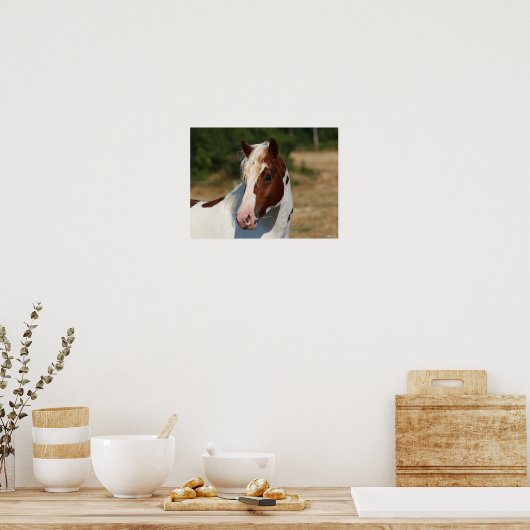 Bob Langrish | Pinto Haflinger Stallion Headshot Poster (Keuken)