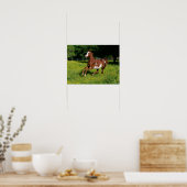 Bob Langrish | Pinto Oldenburg Running in bloemen Poster (Keuken)