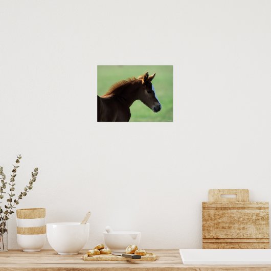 Bob Langrish | Quarter Horse Foal Backlit Poster (Keuken)